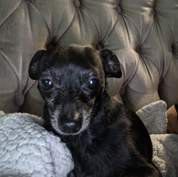 Meet your Posher, Karen - Picture 4 of 10